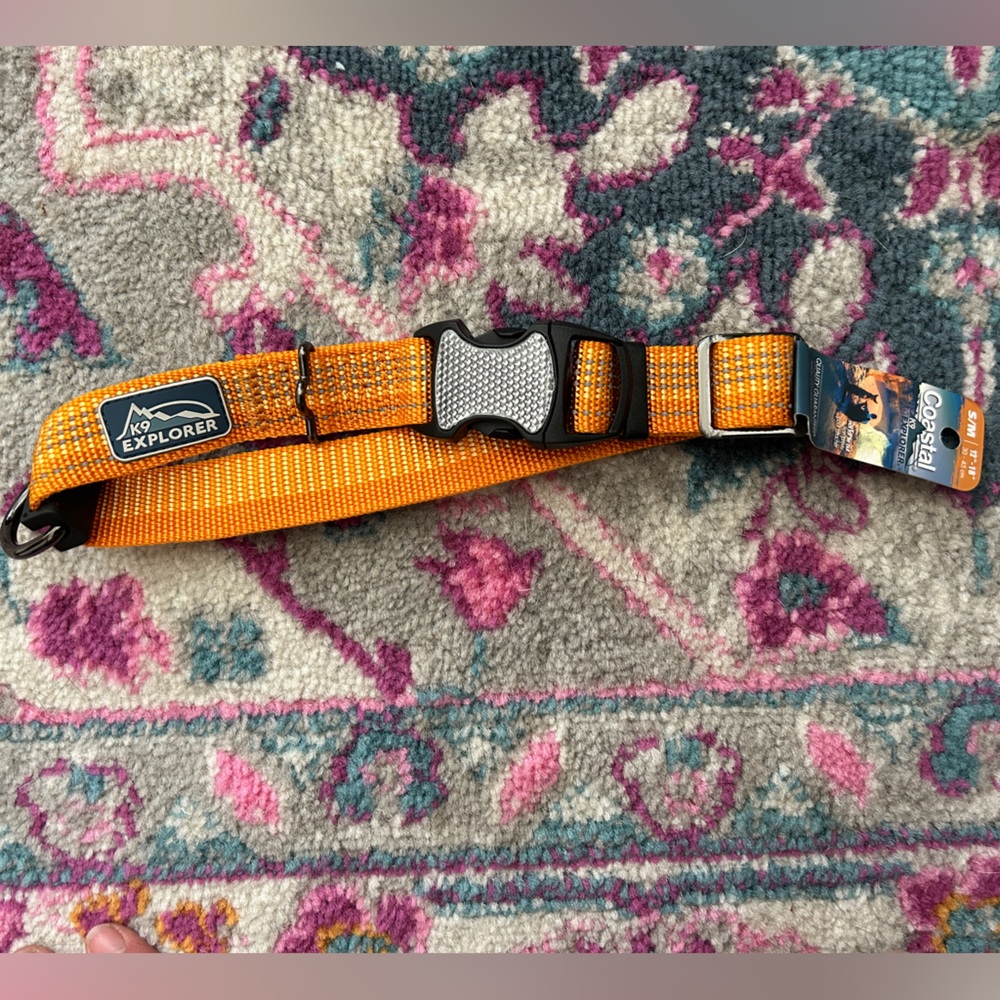 Coastal K-9 Dog Collar